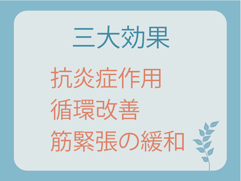 三大効果画像