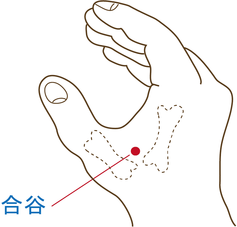親指とひとさし指の付けの骨と骨の間にあるくぼみ