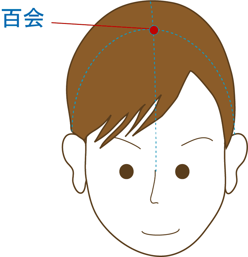 頭の頂点の中央、鼻と耳のラインが交わるあたり