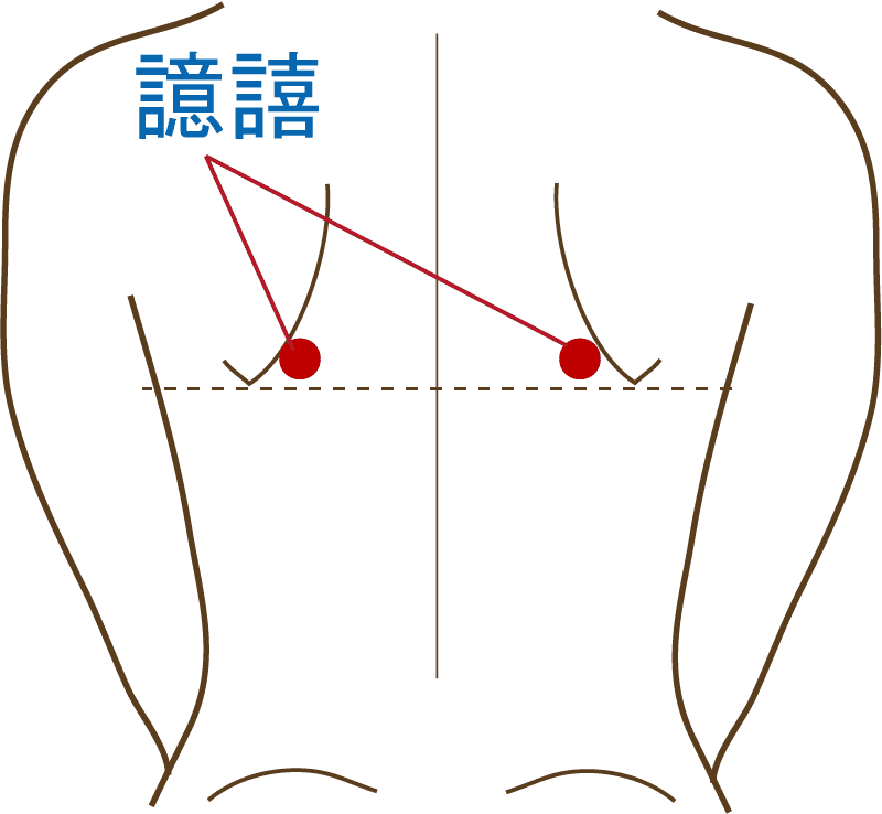 左右の肩甲骨の下の端を結んだラインのやや上で、肩甲骨の際