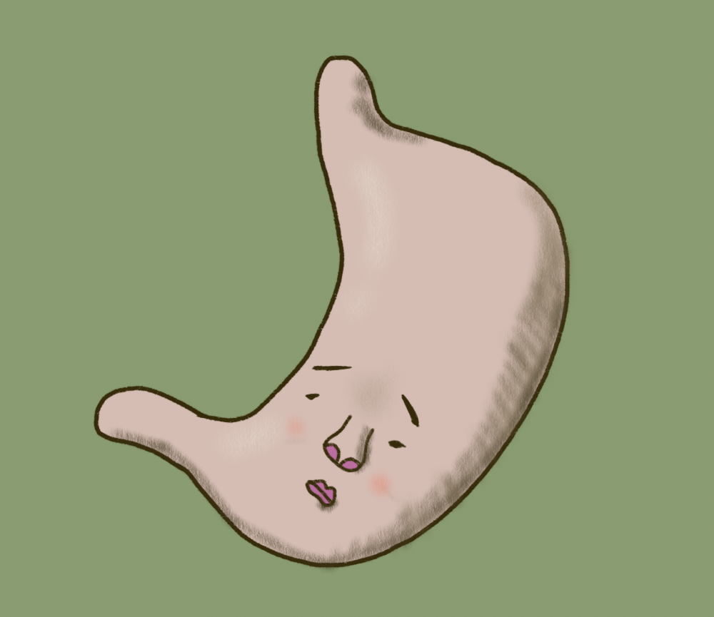 胃の画像