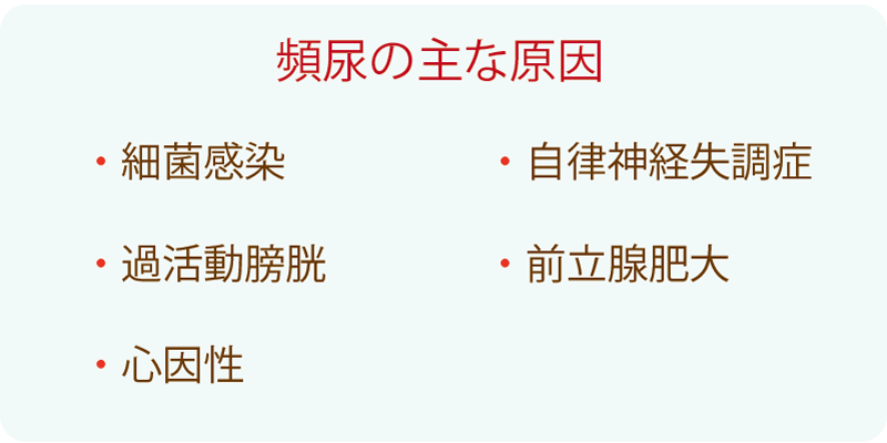 頻尿の原因